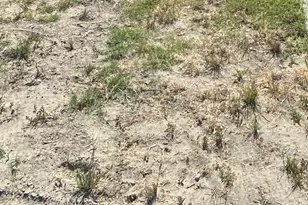 1 A, Ridgecrest, CA 93555 - Photo 1