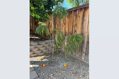 3267 Sueno Drive, San Jose, CA 95148 - Photo 62