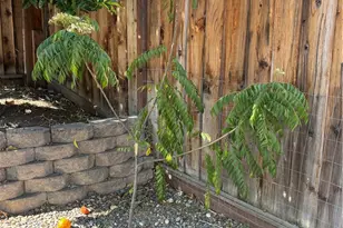 3267 Sueno Dr, San Jose, CA 95148 - Photo 62