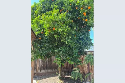 3267 Sueno Drive, San Jose, CA 95148 - Photo 60