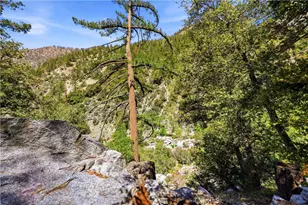 105 Upper San Antonio Falls, Mount Baldy, CA 91759 - Photo 42