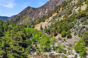 105 Upper San Antonio Falls, Mount Baldy, CA 91759 - Photo 60