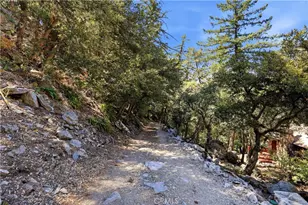 105 Upper San Antonio Falls, Mount Baldy, CA 91759 - Photo 32