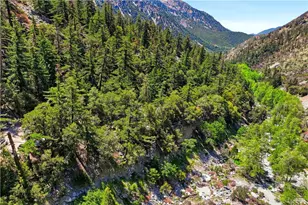 105 Upper San Antonio Falls, Mount Baldy, CA 91759 - Photo 62