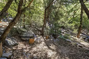 105 Upper San Antonio Falls, Mount Baldy, CA 91759 - Photo 52
