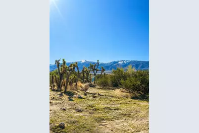155 Del Rosa, Pinon Hills, CA 92372 - Photo 2