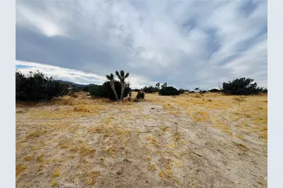 155 Del Rosa, Pinon Hills, CA 92372 - Photo 4