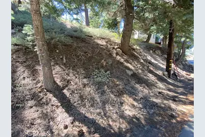 33351 Green Valley Lake Rd., Green Valley Lake, CA 92341 - Photo 10