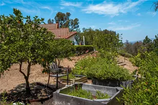 186 S Donna Ct, Anaheim Hills, CA 92807 - Photo 42