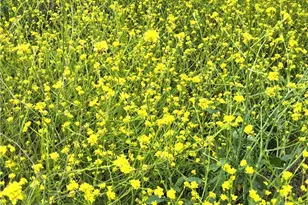 0 0, Val Verde, CA 91384 - Photo 1