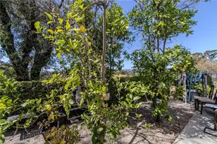 6415 E Stonebridge, Anaheim Hills, CA 92807 - Photo 56
