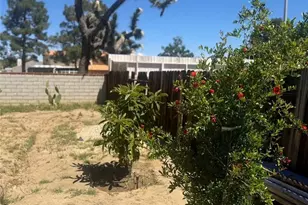 4855 Opal, Palmdale, CA 93552 - Photo 14