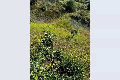 24385 Terreno, Temecula, CA 92590 - Photo 10