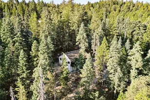 26325 Jacqueline Rd, Twin Peaks, CA 92391 - Photo 34