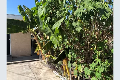 1234 E Oak Street, Anaheim, CA 92805 - Photo 18