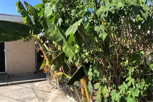 1234 E Oak St, Anaheim, CA 92805 - Photo 18