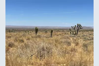 0 Vac Fort Tejon Drt Vic, Llano, CA 93544 - Photo 8
