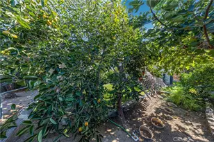 2640 David, La Habra, CA 90631 - Photo 44