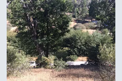 29749 Redwood, Cedar Glen, CA 92321 - Photo 1