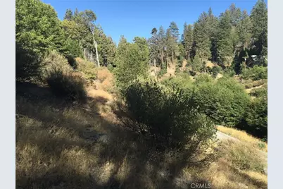 29776 Hook Creek, Cedar Glen, CA 92321 - Photo 2