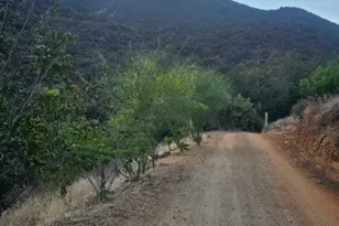 35916 Rice Canyon Rd, Fallbrook, CA 92028 - Photo 34