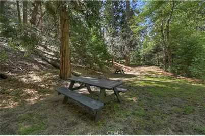 25005 Basel Drive, Crestline, CA 92325 - Photo 34