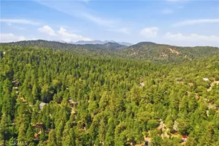 23727 Bowl Rd, Crestline, CA 92325 - Photo 50