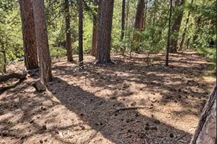 131 Golf Course Rd, Lake Arrowhead, CA 92352 - Photo 1