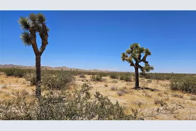 24204 Aster Road, Adelanto, CA 92301 - Photo 22