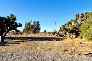 9950 Sonora Rd, Phelan, CA 92371 - Photo 4
