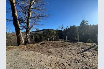 29373 Pine, Cedar Glen, CA 92321 - Photo 10