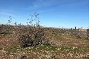 0 Olivine, Phelan, CA 92371 - Photo 1