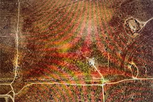 153 Ave C, Fairmont, CA 93536 - Photo 1