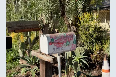 31912 Wrightwood, Bonsall, CA 92003 - Photo 46