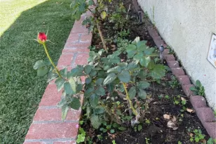 11508 Old River School Rd, Downey, CA 90241 - Photo 6