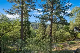 32061 Pine Cone, Running Springs, CA 92382 - Photo 10