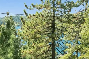 514 Emerald Dr, Lake Arrowhead, CA 92352 - Photo 18
