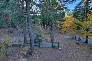 21778 Ridge Dr, Cedarpines Park, CA 92322 - Photo 36