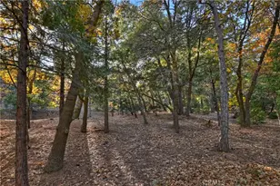 21778 Ridge Dr, Cedarpines Park, CA 92322 - Photo 26