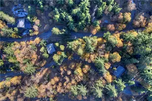 21778 Ridge Dr, Cedarpines Park, CA 92322 - Photo 38