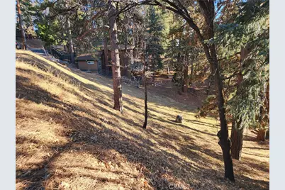 30696 Ferndale Drive, Running Springs, CA 92382 - Photo 16