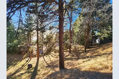 30696 Ferndale Drive, Running Springs, CA 92382 - Photo 14