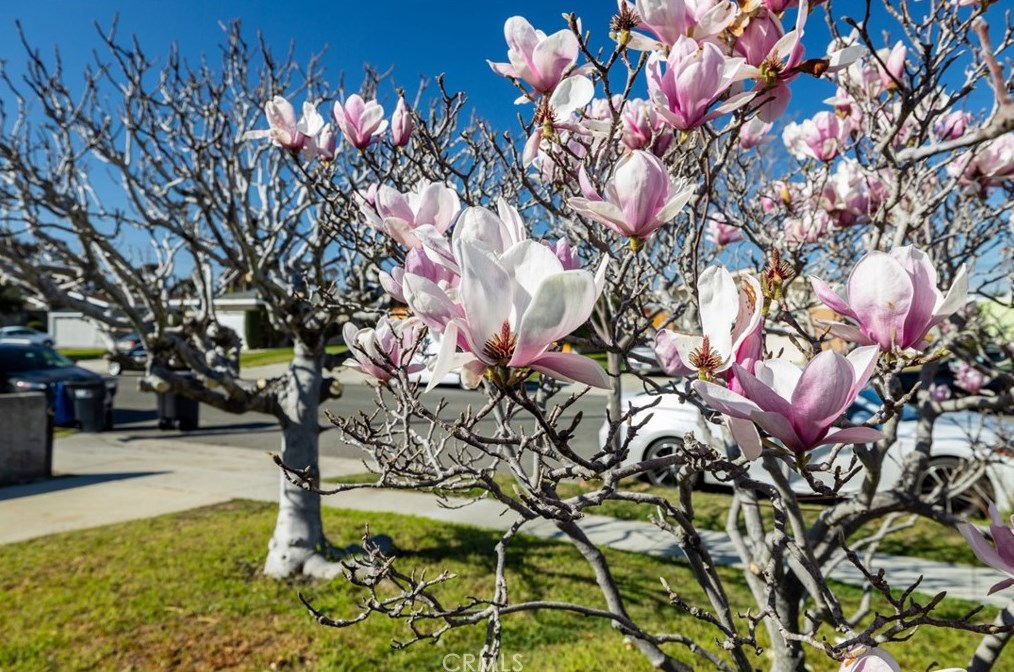 5124 135th St, Hawthorne CA  90250-5630 exterior