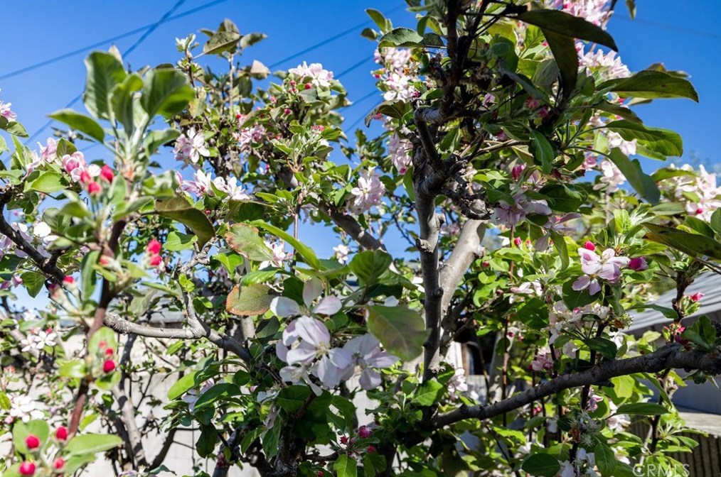 5124 135th St, Hawthorne CA  90250-5630 exterior