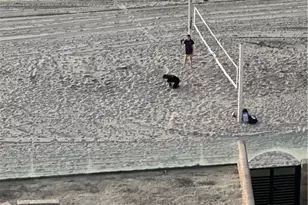 433 Paseo De La Playa, Redondo Beach, CA 90277 - Photo 70