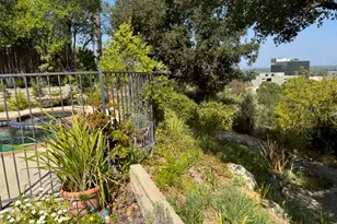 16216 Bertella Dr, Encino, CA 91436 - Photo 8