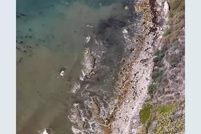 1468 W 37th, San Pedro, CA 90731 - Photo 50