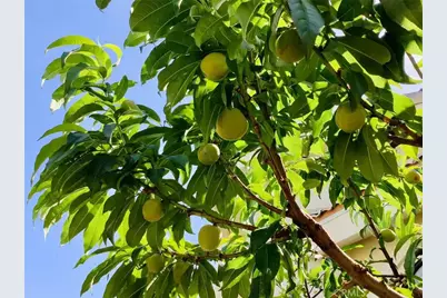 [Address not provided], Gardena, CA 90249 - Photo 68