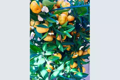 [Address not provided], Gardena, CA 90249 - Photo 46