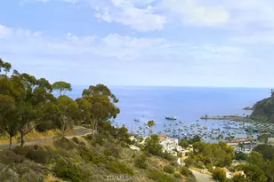 335 Clemente Ave, Avalon, CA 90704 - Photo 8